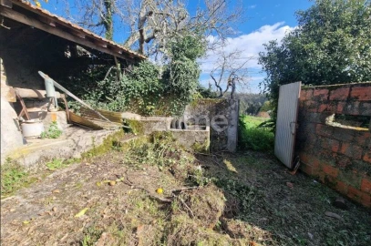 Moradia T3 para Venda em Cercosa