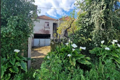 Moradia T3 para Venda em Cercosa