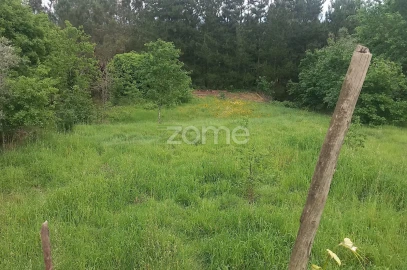 Moradia T3 para Venda em Cercosa