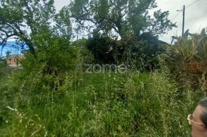 Moradia T3 para Venda em Cercosa