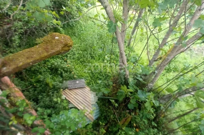 Moradia T3 para Venda em Cercosa