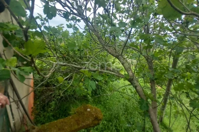 Moradia T3 para Venda em Cercosa