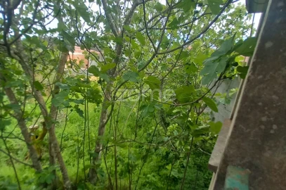 Moradia T3 para Venda em Cercosa