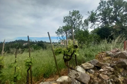 Moradia T3 para Venda em Cercosa
