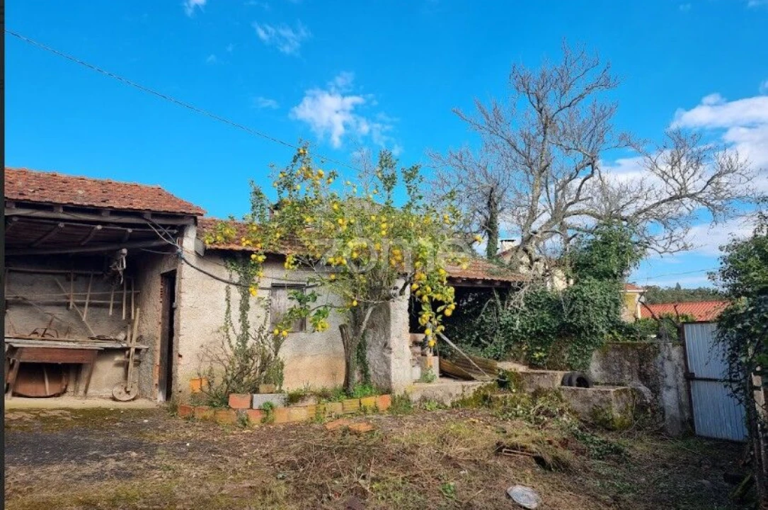 Moradia T3 para Venda em Cercosa Foto 39