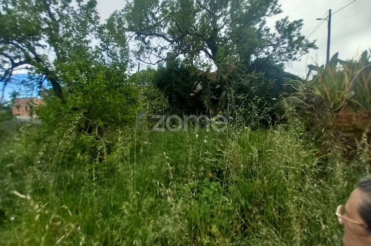 Moradia T3 para Venda em Cercosa Foto 20