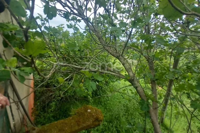 Moradia T3 para Venda em Cercosa Foto 18