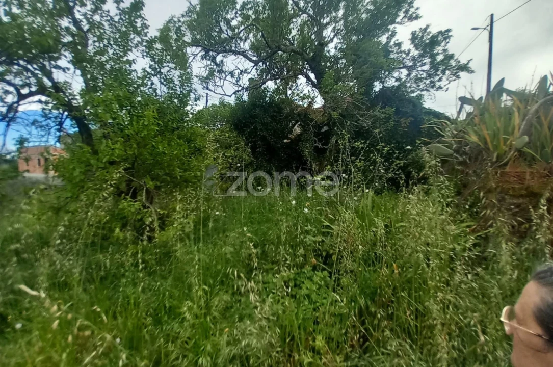 Moradia T3 para Venda em Cercosa Foto 20