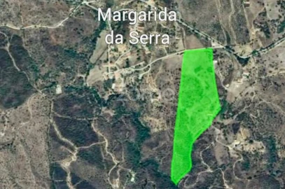 Quinta T12 para Venda em Grândola e Santa Margarida da Serra