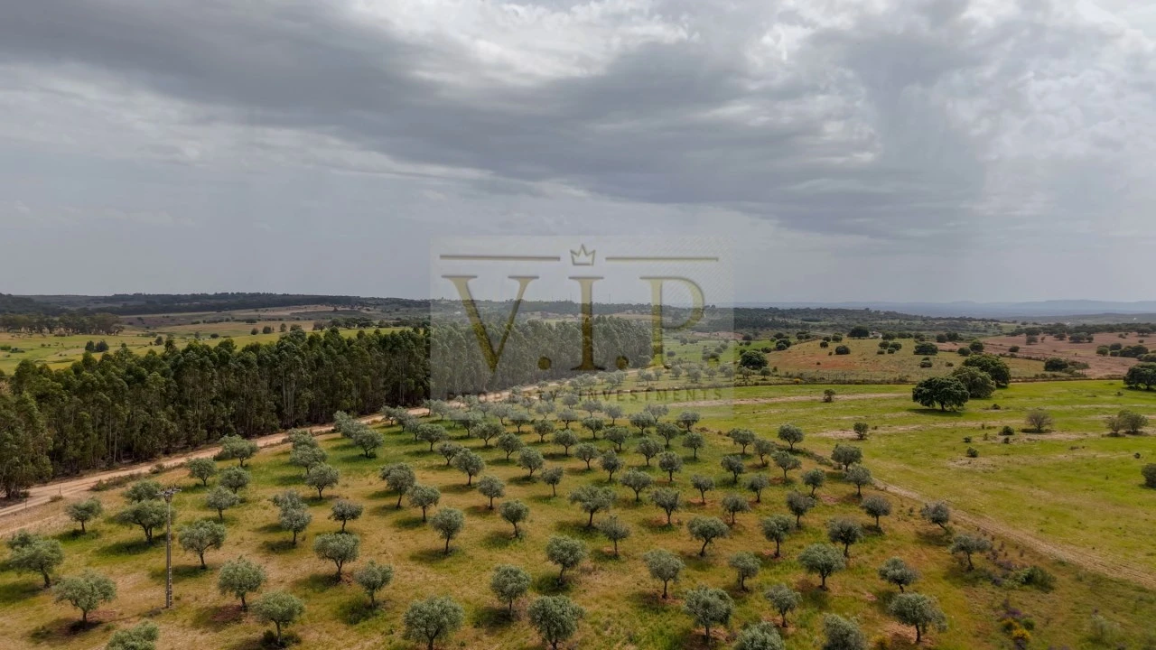Terreno para Venda em Rosmaninhal Foto 1