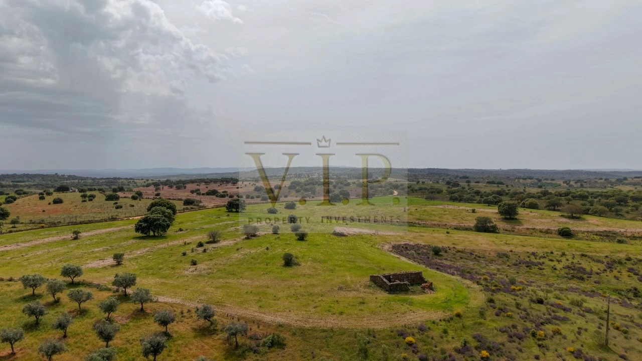 Terreno para Venda em Rosmaninhal Foto 2