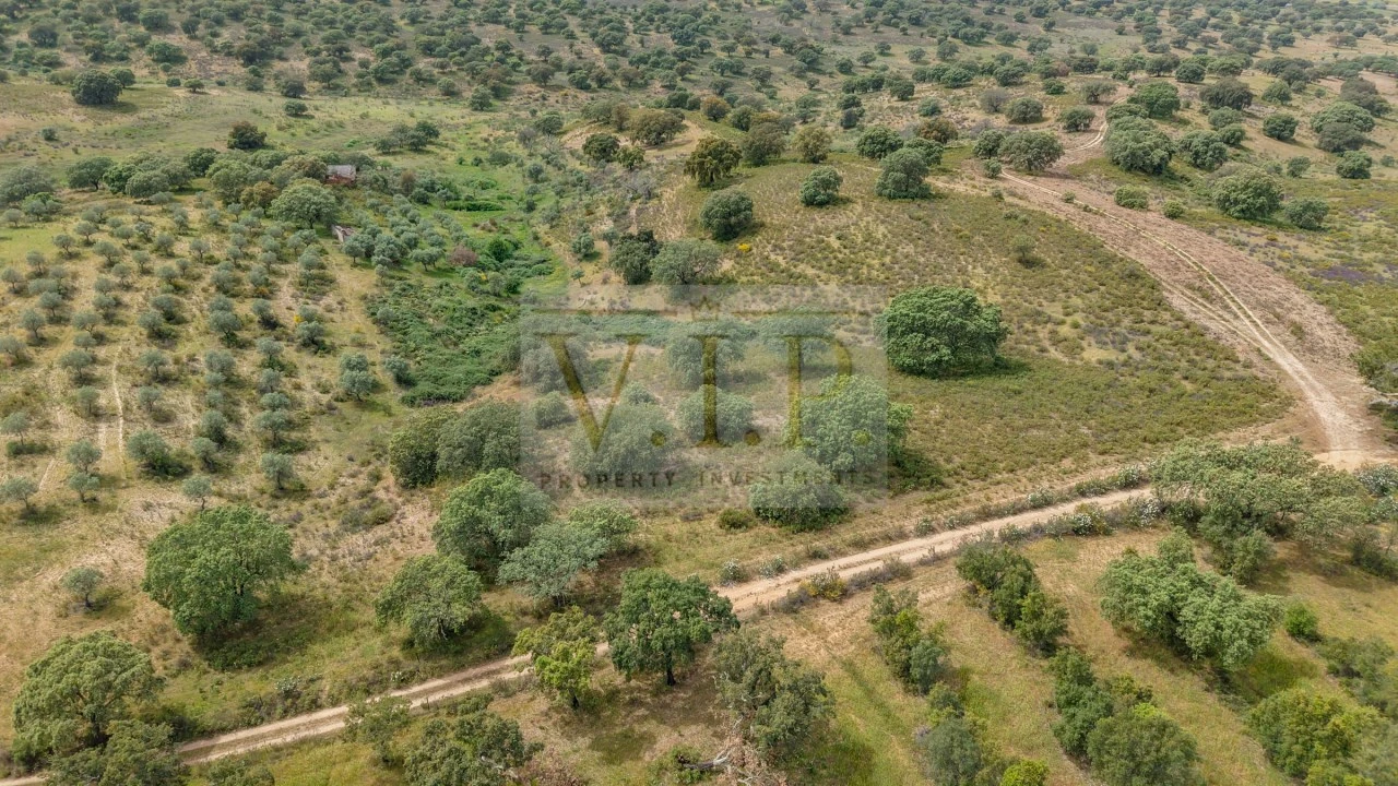 Terreno para Venda em Rosmaninhal Foto 5