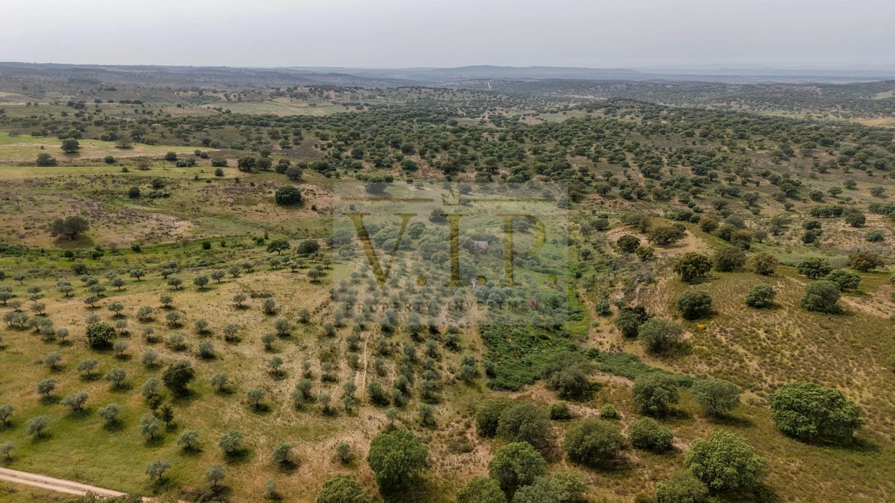 Terreno para Venda em Rosmaninhal Foto 7