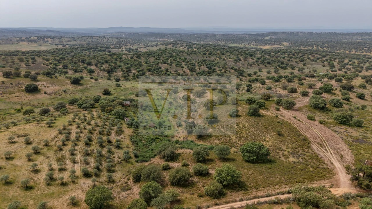 Terreno para Venda em Rosmaninhal Foto 8