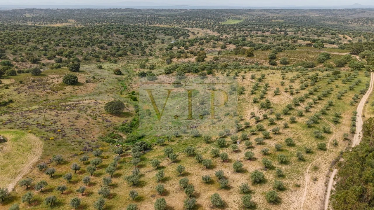 Terreno para Venda em Rosmaninhal Foto 12