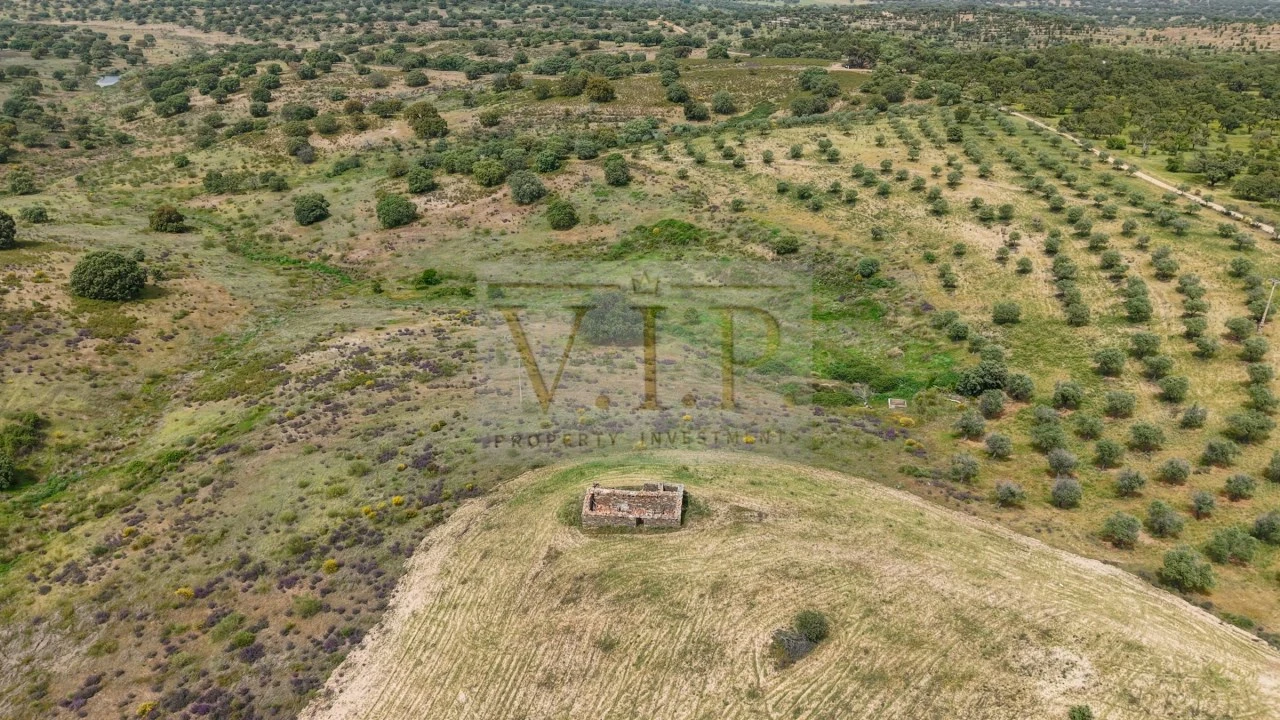 Terreno para Venda em Rosmaninhal Foto 13