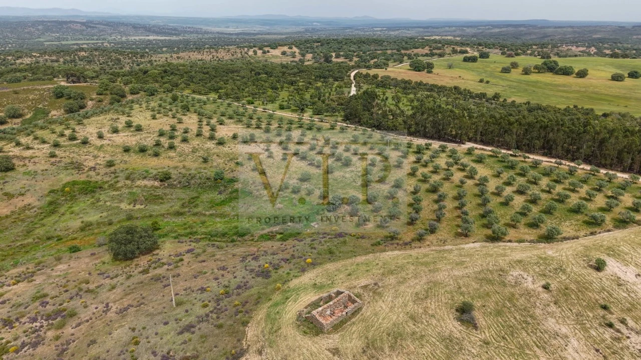 Terreno para Venda em Rosmaninhal Foto 14