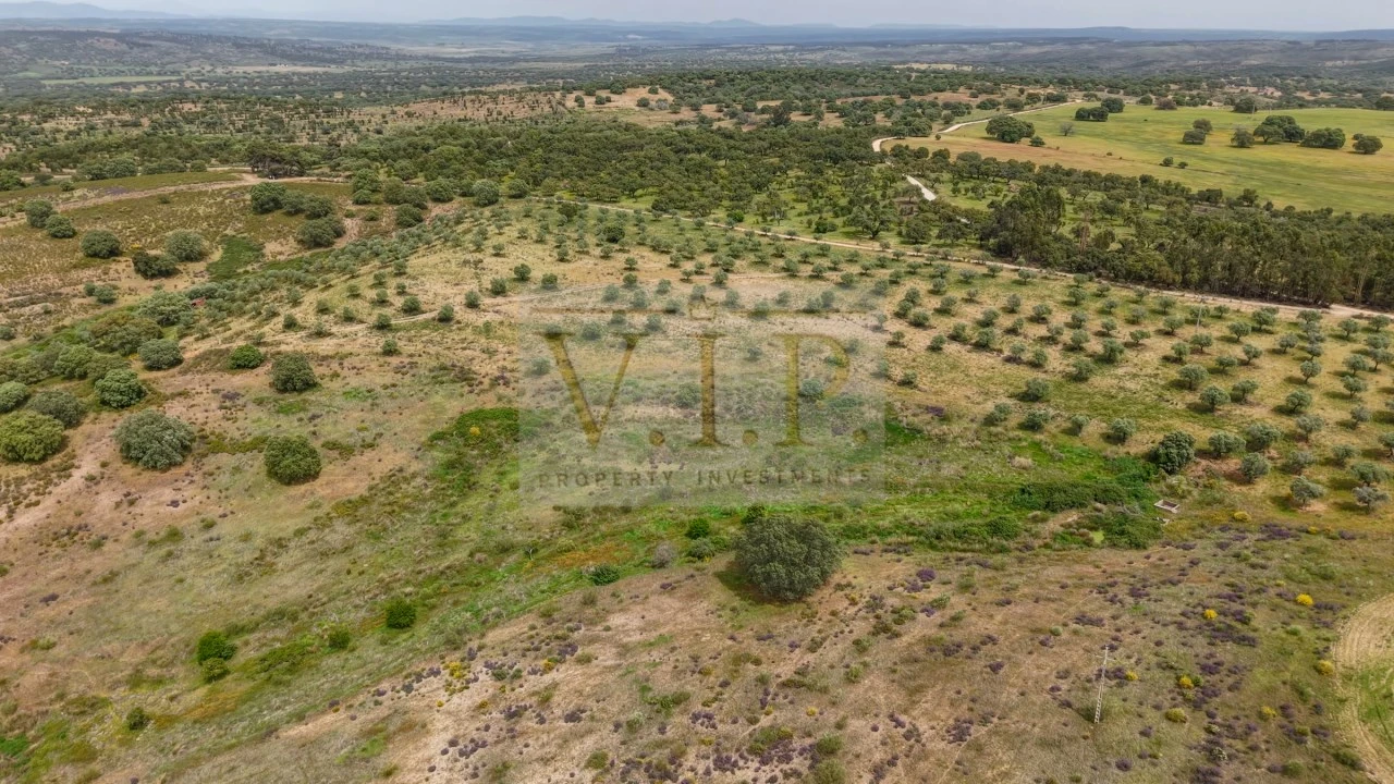 Terreno para Venda em Rosmaninhal Foto 15