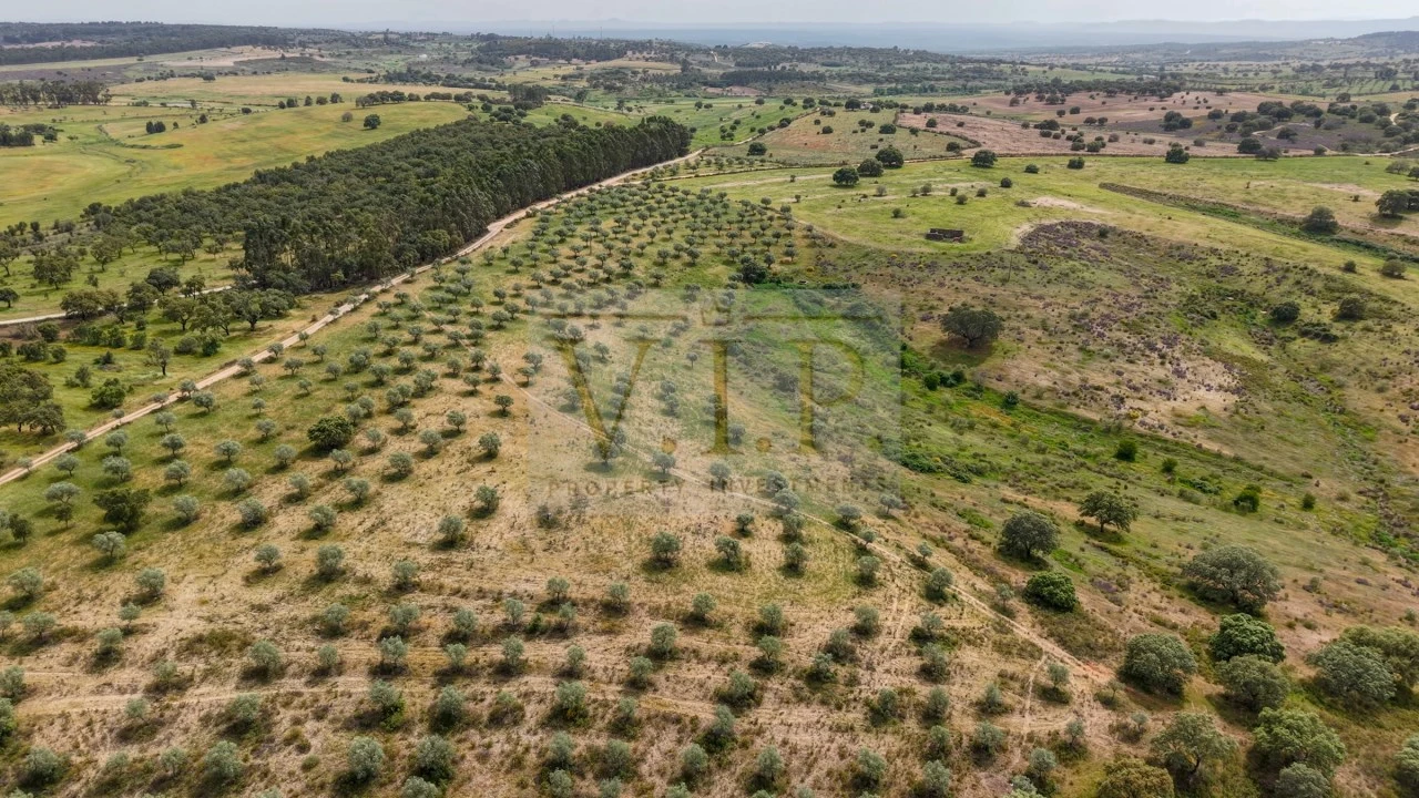 Terreno para Venda em Rosmaninhal Foto 17