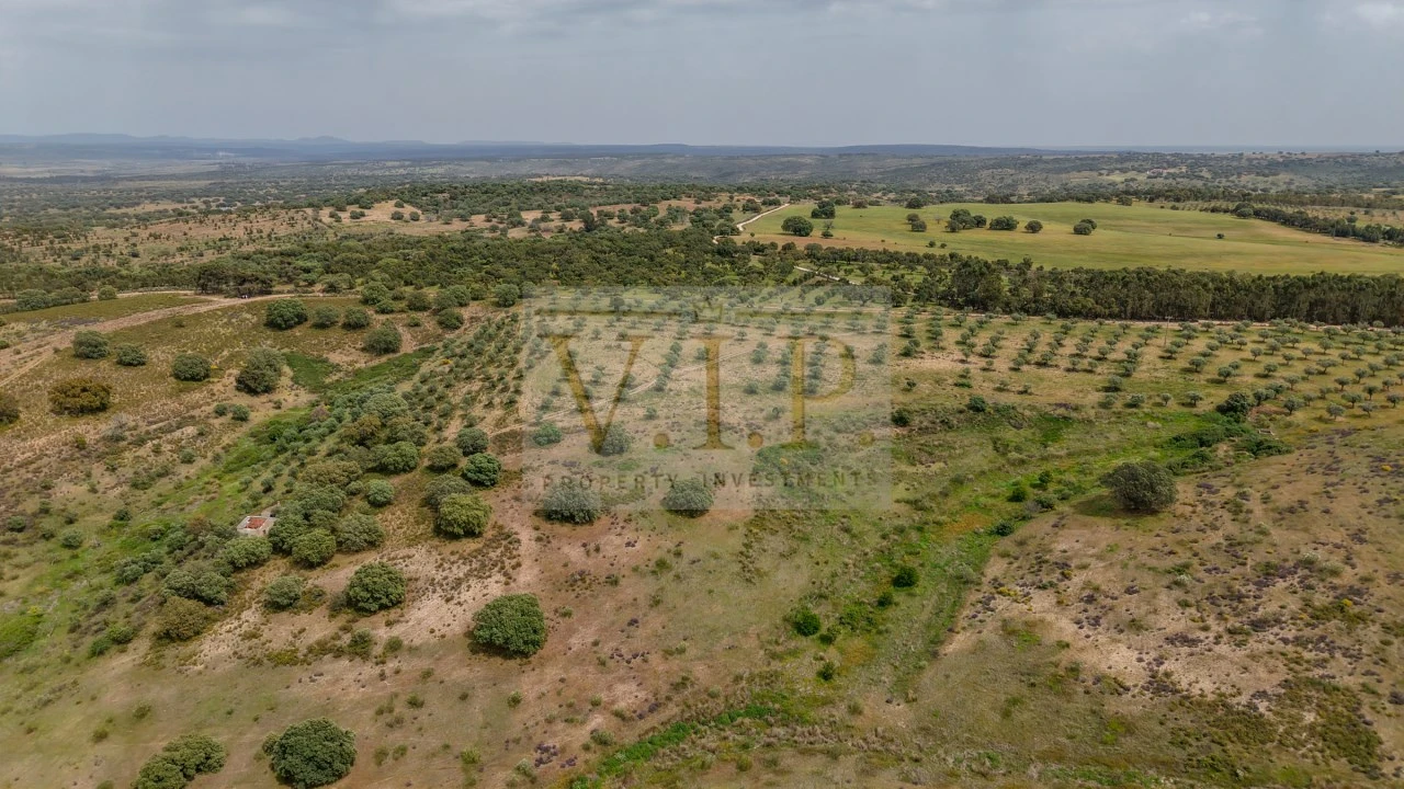 Terreno para Venda em Rosmaninhal Foto 22