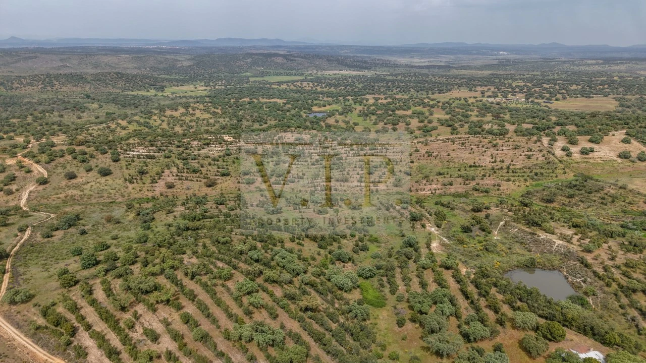 Terreno para Venda em Rosmaninhal Foto 30