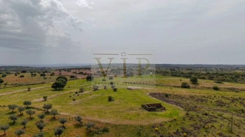 Terreno para Venda em Rosmaninhal