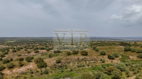 Terreno para Venda em Rosmaninhal