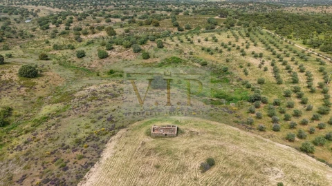 Terreno para Venda em Rosmaninhal