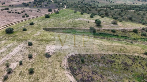 Terreno para Venda em Rosmaninhal