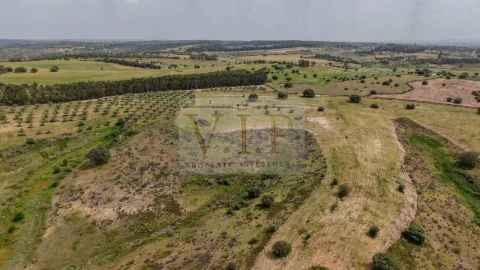 Terreno para Venda em Rosmaninhal
