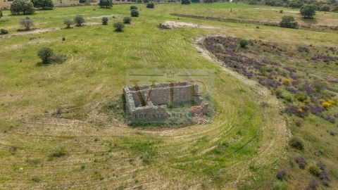 Terreno para Venda em Rosmaninhal