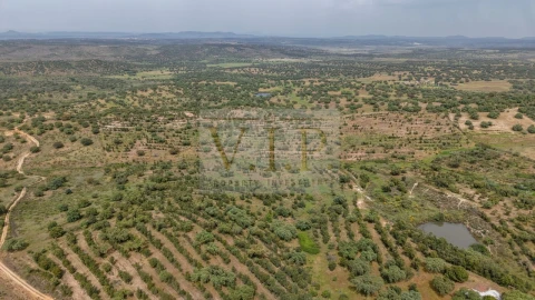 Terreno para Venda em Rosmaninhal
