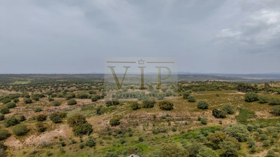 Terreno para Venda em Rosmaninhal Foto 3