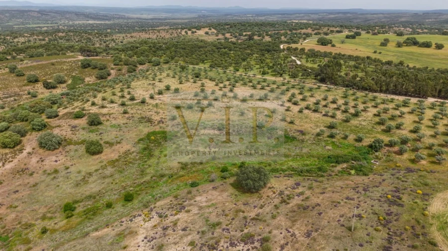 Terreno para Venda em Rosmaninhal Foto 15