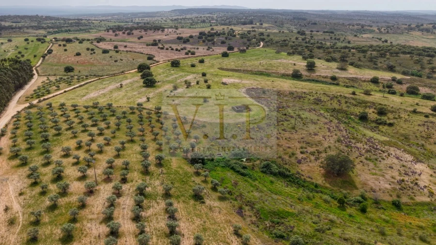 Terreno para Venda em Rosmaninhal Foto 19