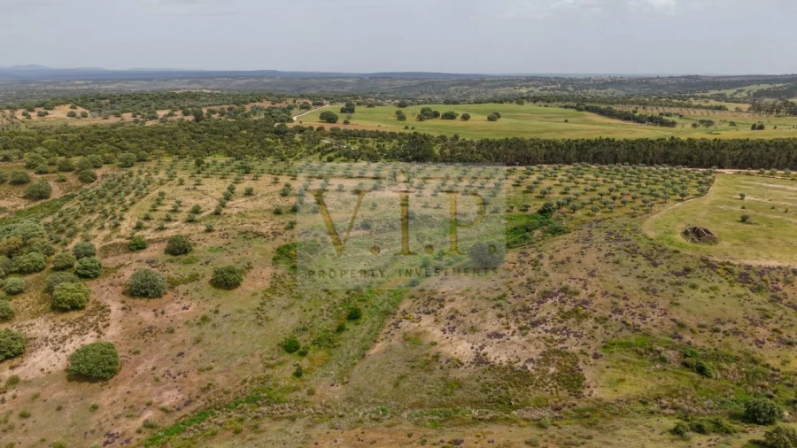 Terreno para Venda em Rosmaninhal Foto 21