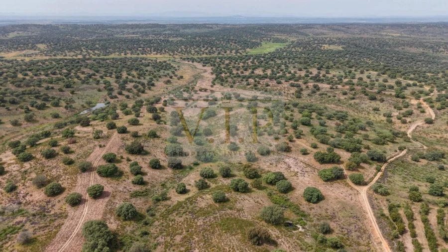 Terreno para Venda em Rosmaninhal Foto 27