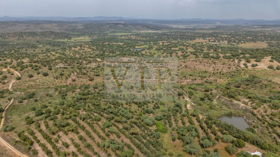 Terreno para Venda em Rosmaninhal Foto 30