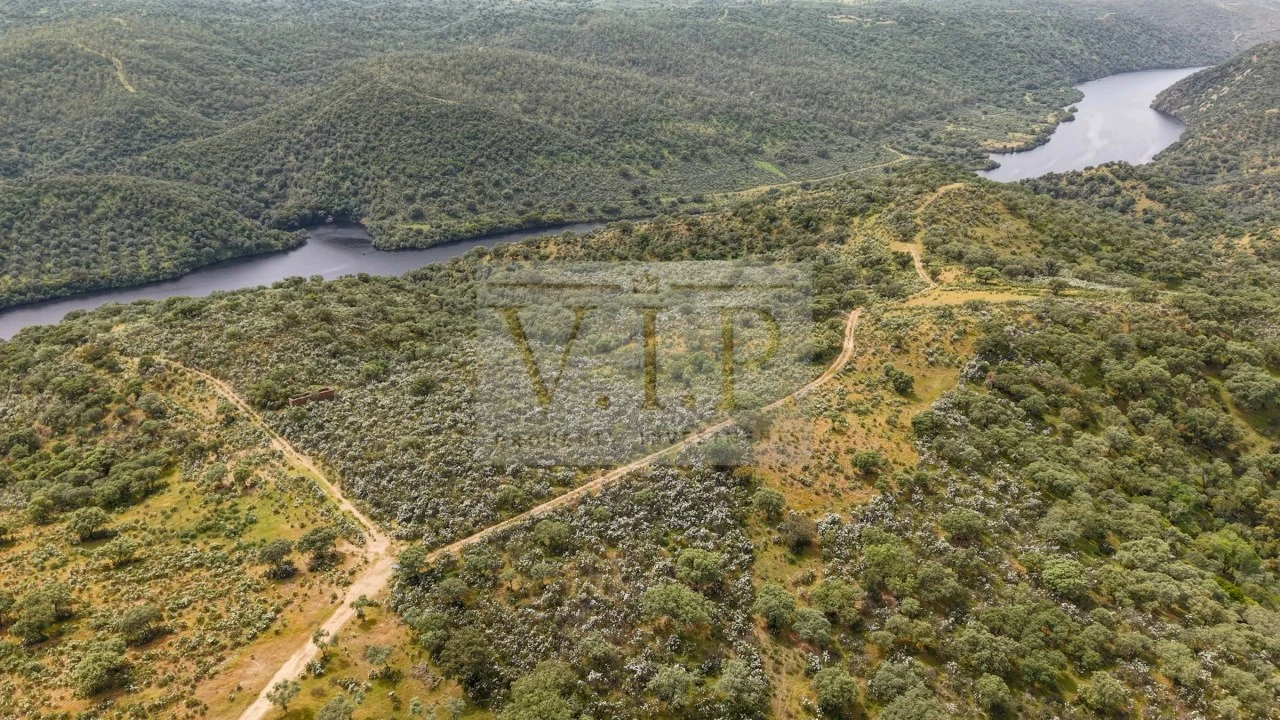 Terreno para Venda em Rosmaninhal Foto 4