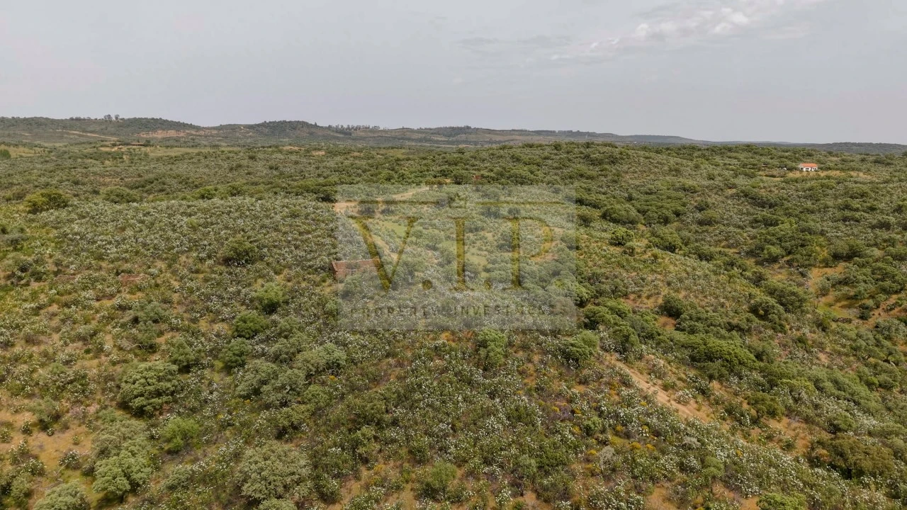 Terreno para Venda em Rosmaninhal Foto 7