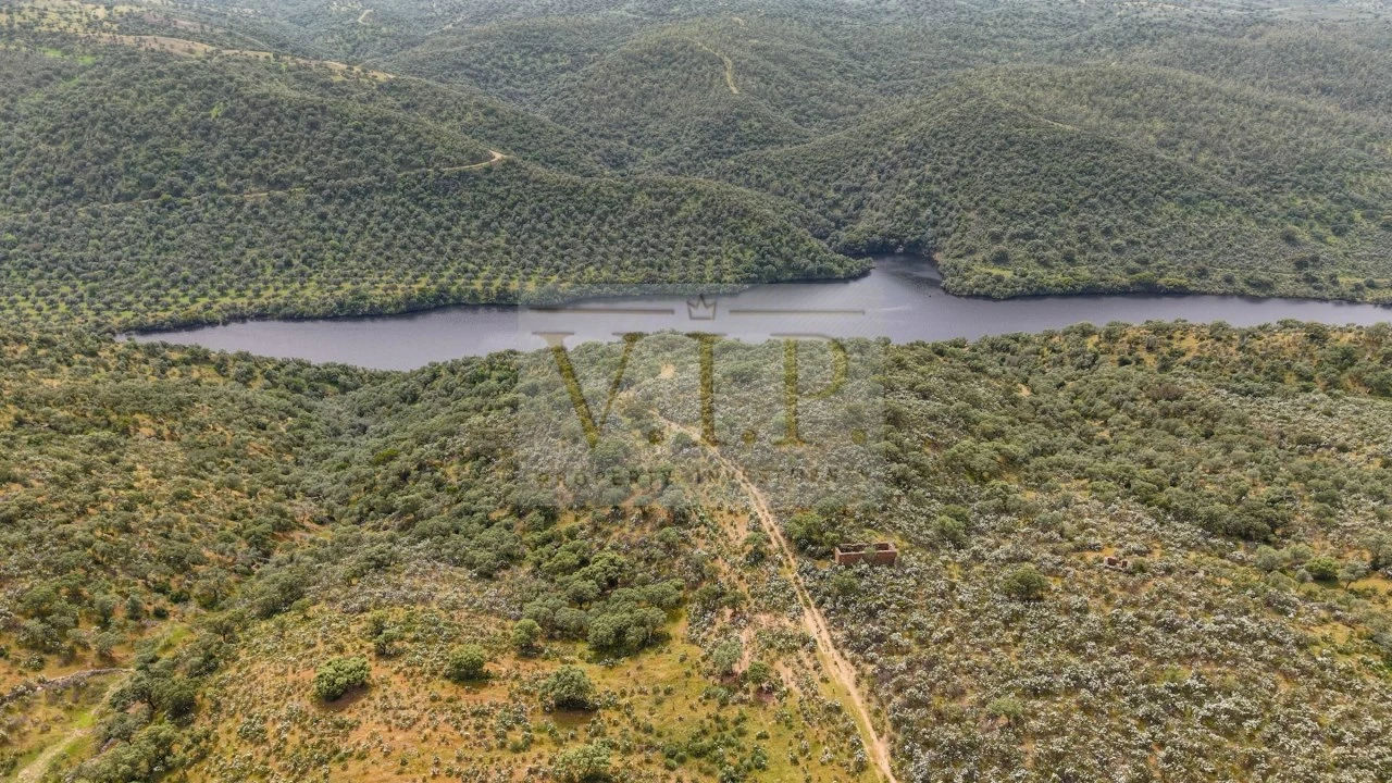Terreno para Venda em Rosmaninhal Foto 10