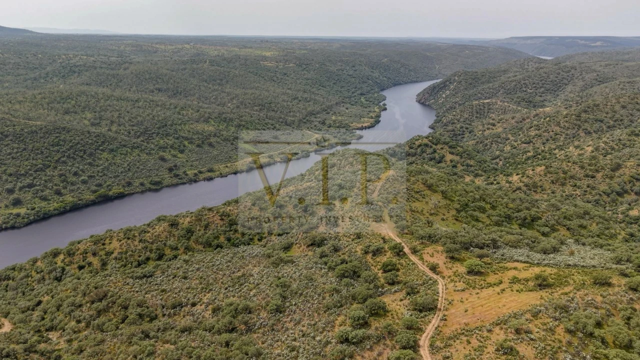 Terreno para Venda em Rosmaninhal Foto 12
