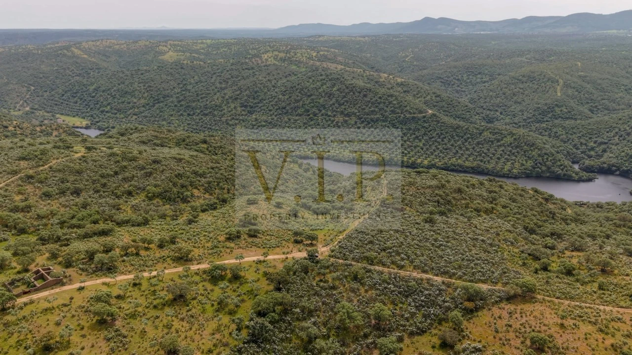 Terreno para Venda em Rosmaninhal Foto 14