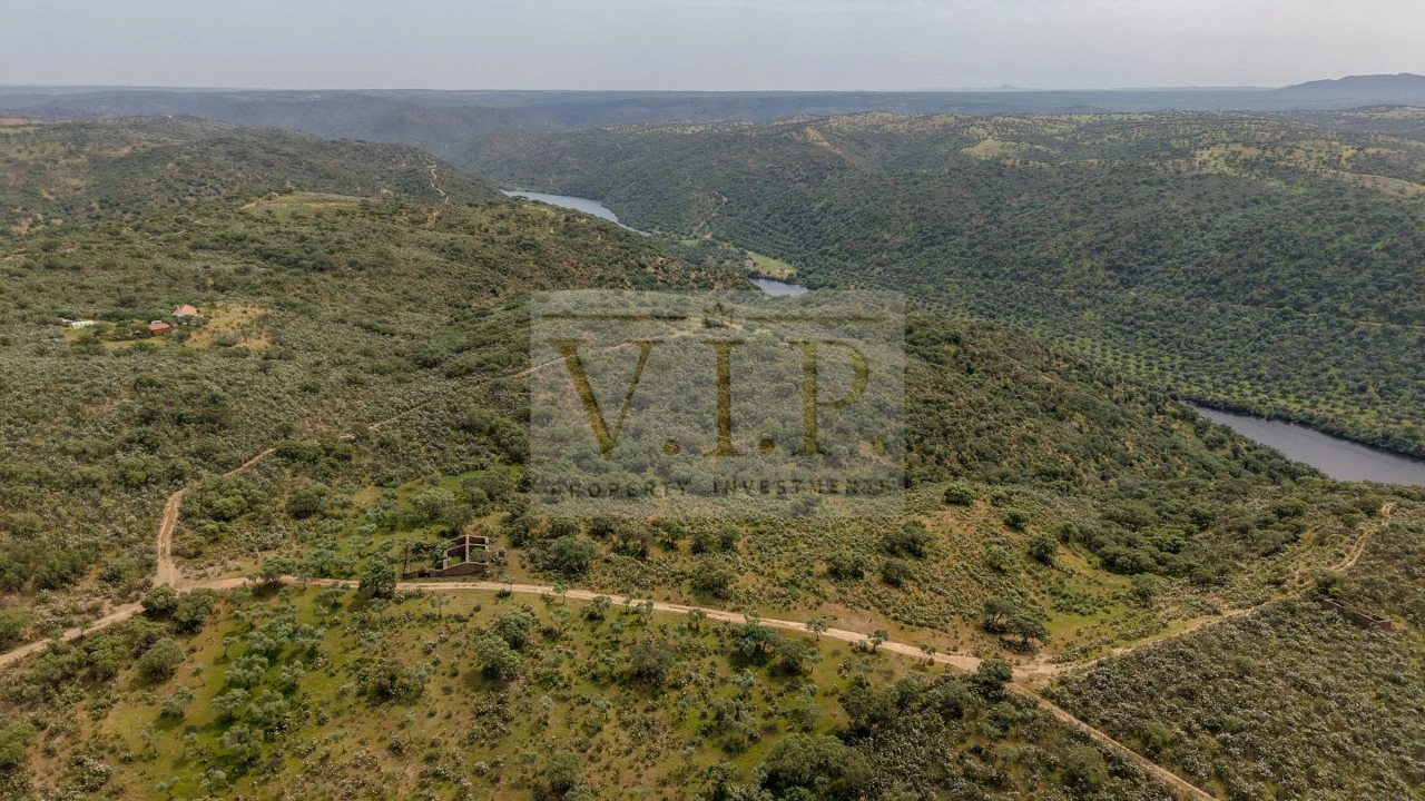 Terreno para Venda em Rosmaninhal Foto 16