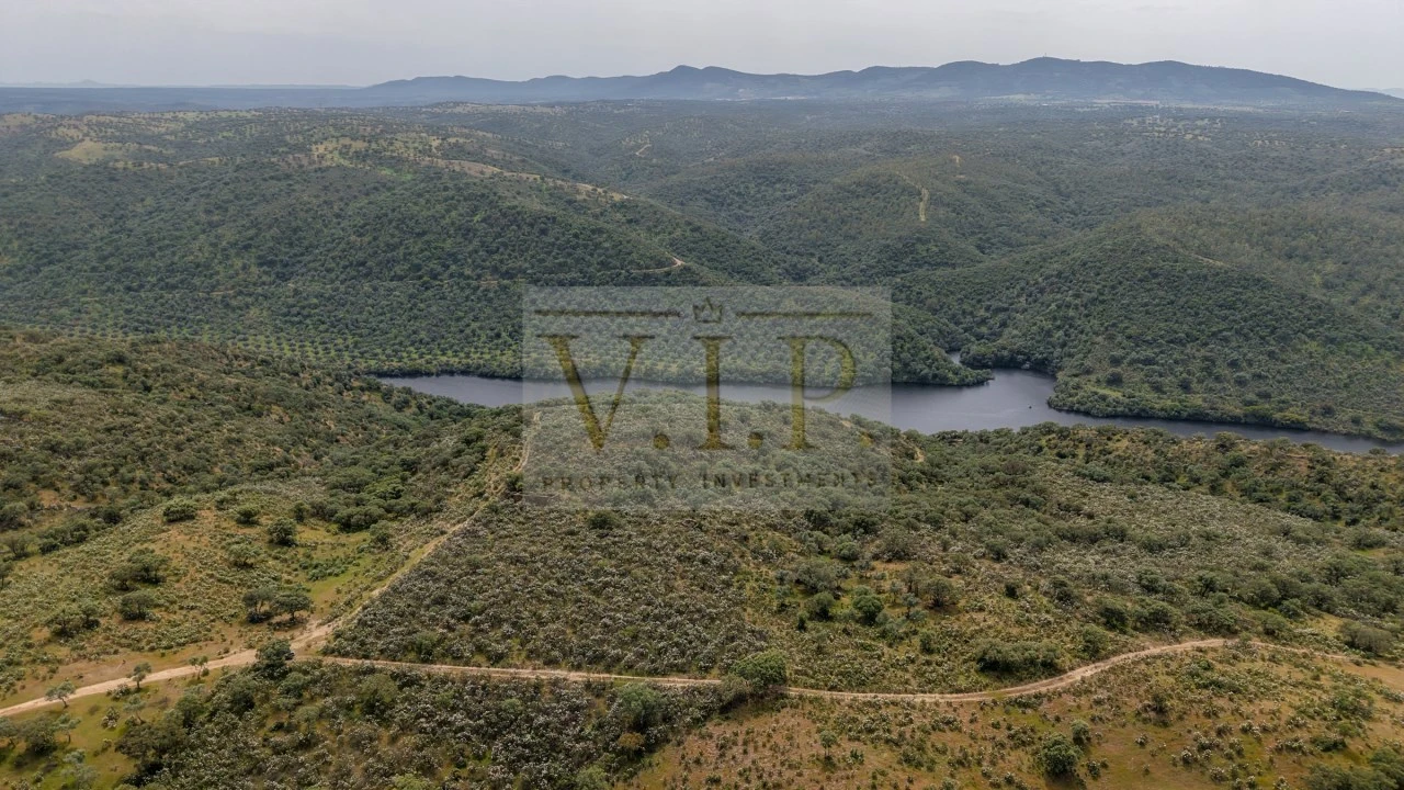 Terreno para Venda em Rosmaninhal Foto 17