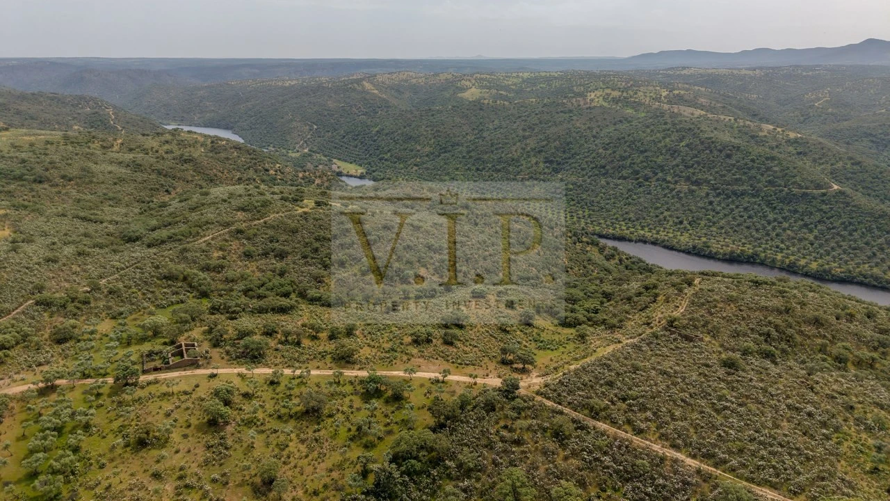 Terreno para Venda em Rosmaninhal Foto 18