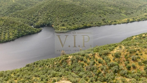 Terreno para Venda em Rosmaninhal