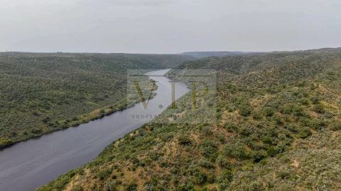 Terreno para Venda em Rosmaninhal