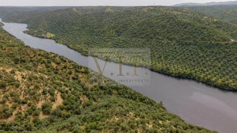 Terreno para Venda em Rosmaninhal