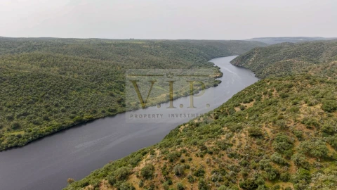 Terreno para Venda em Rosmaninhal